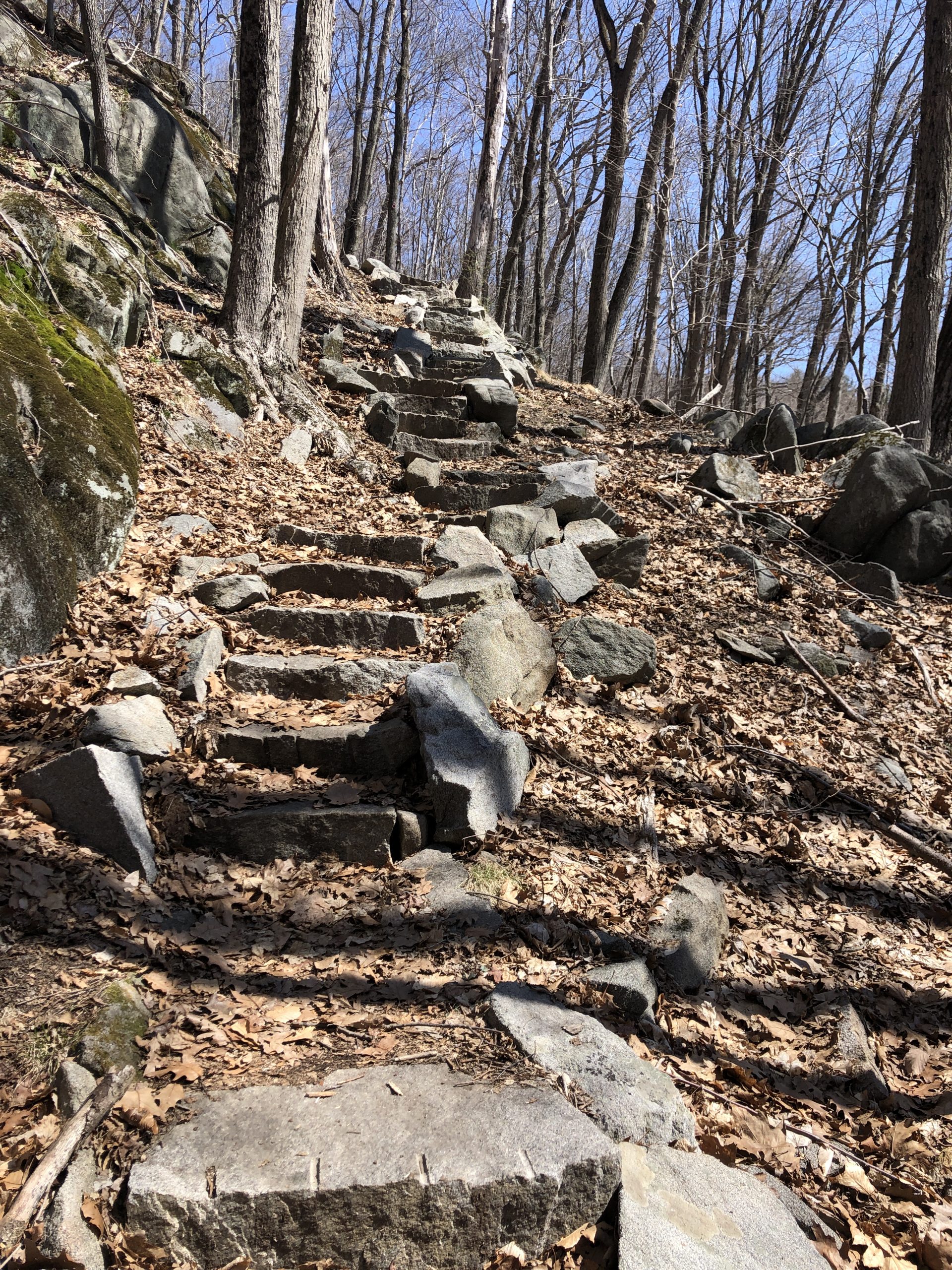 Sylvan Glen Park Preserve Heldhouse